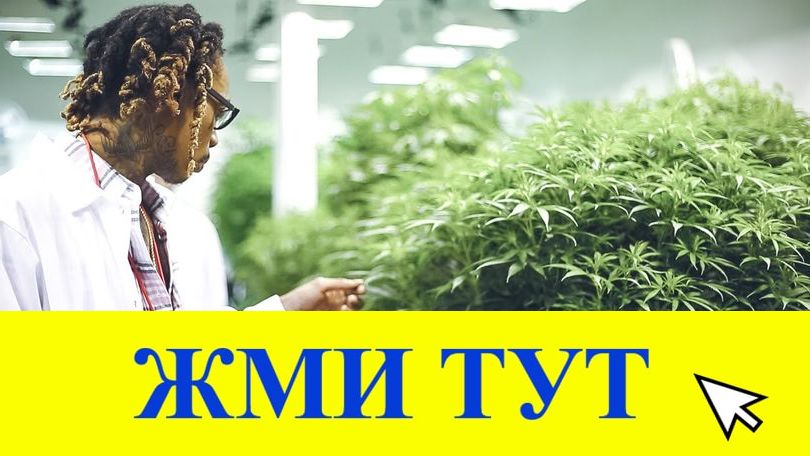 Купить наркотики в Знаменске